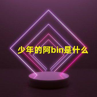 少年的阿bin是什么意思 bin導是什么意思梗